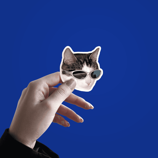 Savage Cat Sticker - sticckiz.com