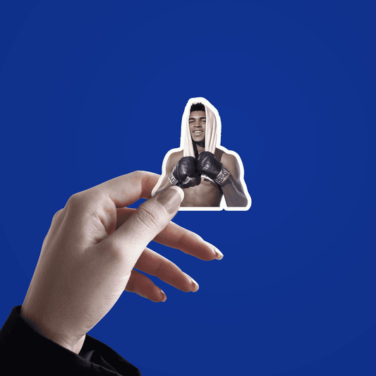 Boxing Sticker - sticckiz.com