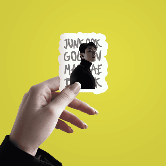 Korean artist sticker v4 - sticckiz.com