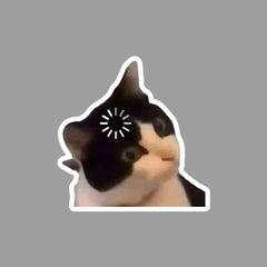 Confused Cat meme Sticker - sticckiz.com