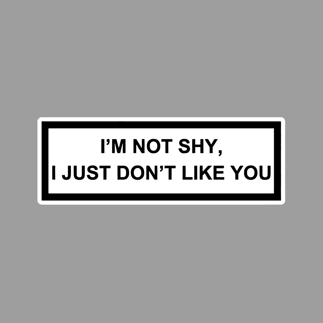 _I'm Not shy i just Don't Like you Sticker - sticckiz.com