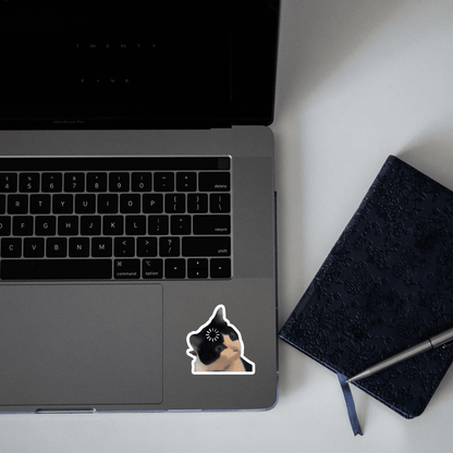 Confused Cat meme Sticker - sticckiz.com