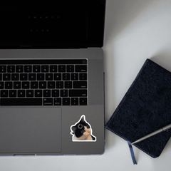 Confused Cat meme Sticker - sticckiz.com