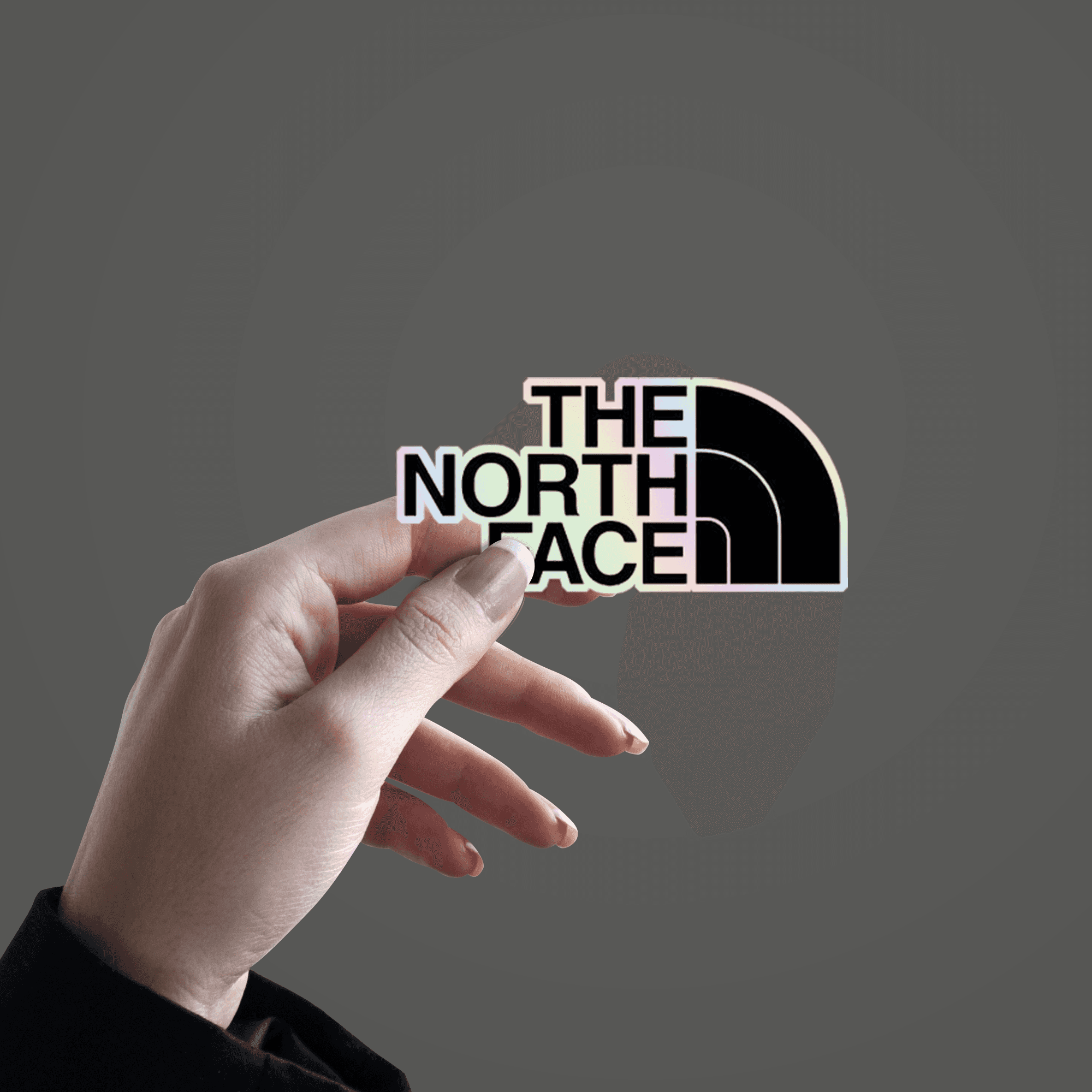 The North Face Holographic Sticker - sticckiz.com