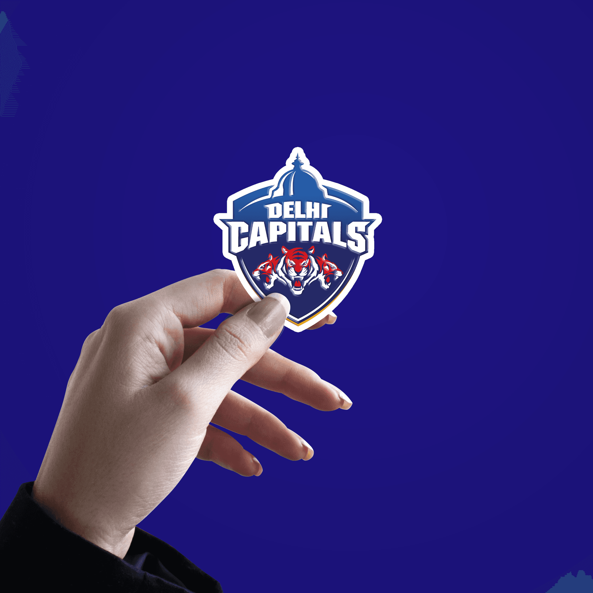 Delhi Captitals Logo Sticker - sticckiz.com