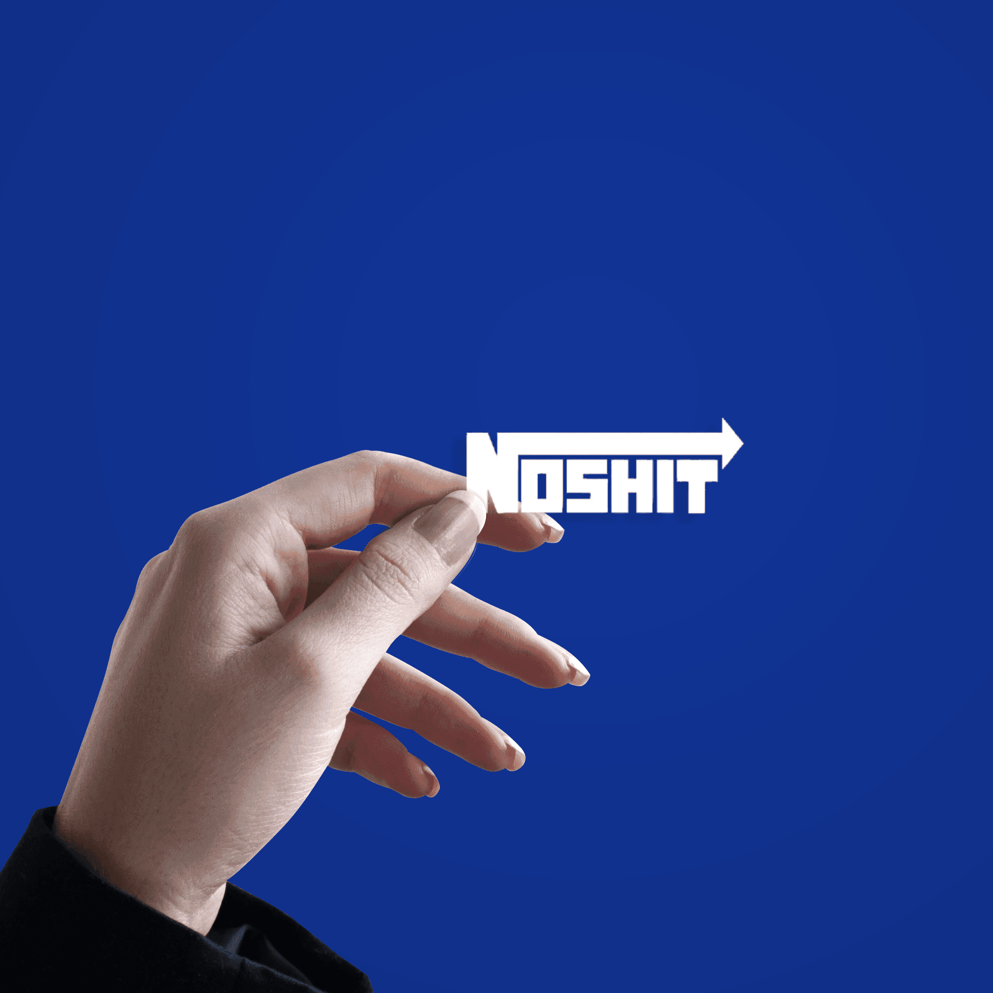 No Shit Sticker - sticckiz.com