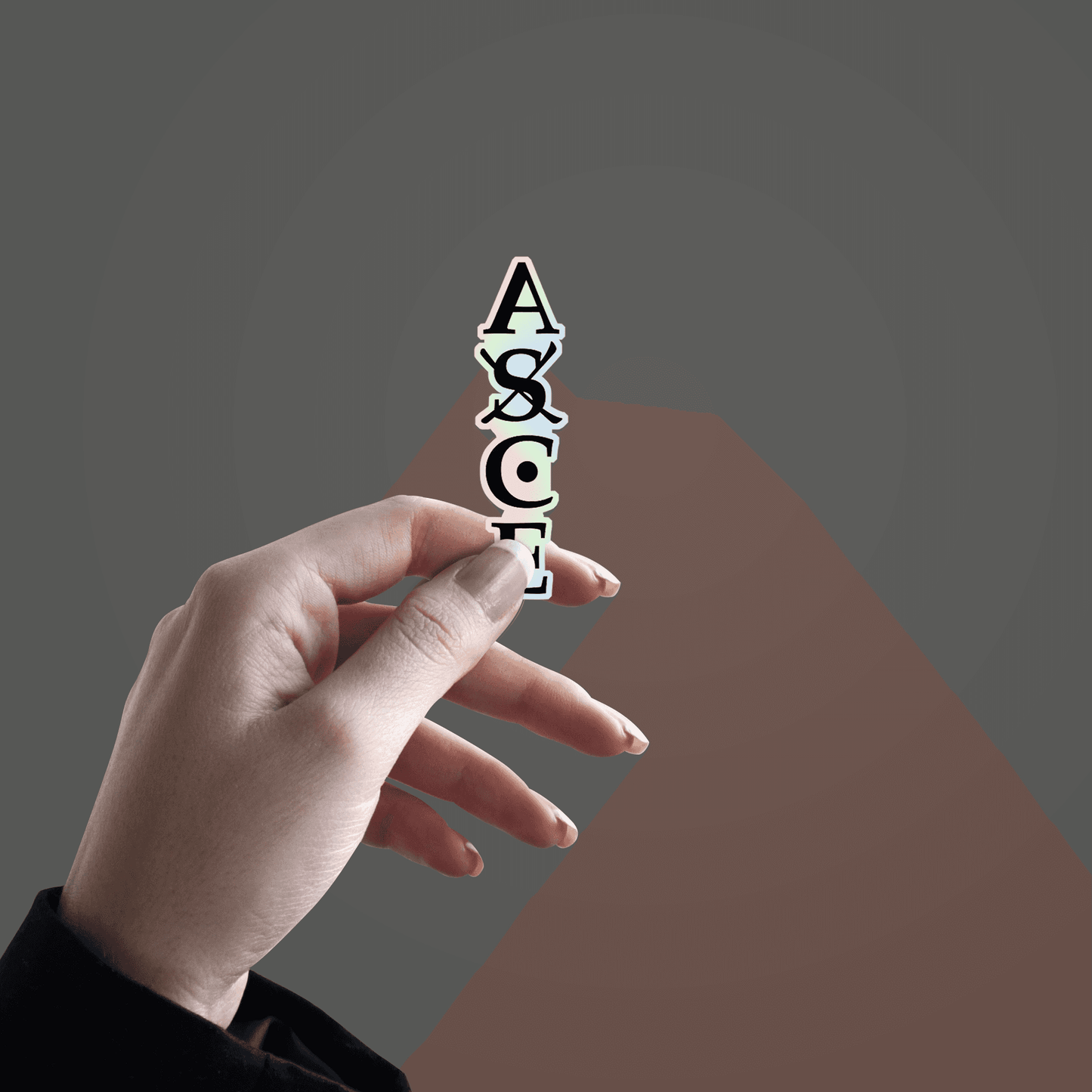 One Peice Ace Logo Holographic Sticker - sticckiz.com