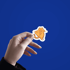 Cat climbing Sticker - sticckiz.com