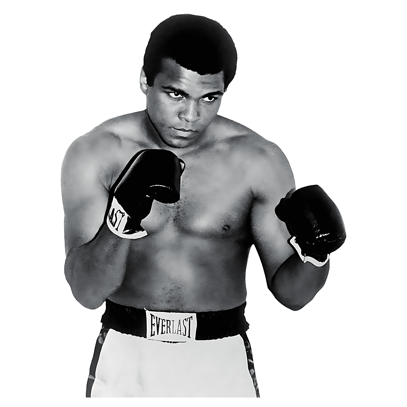 Mohammad Ali Boxer Sticker v2 - sticckiz.com