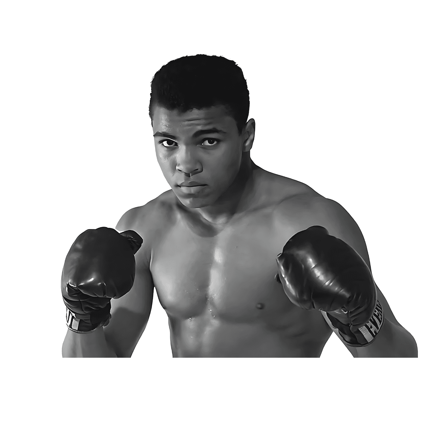 Mohammad Ali Boxer Sticker v6 - sticckiz.com