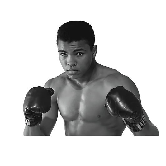 Mohammad Ali Boxer Sticker v6 - sticckiz.com